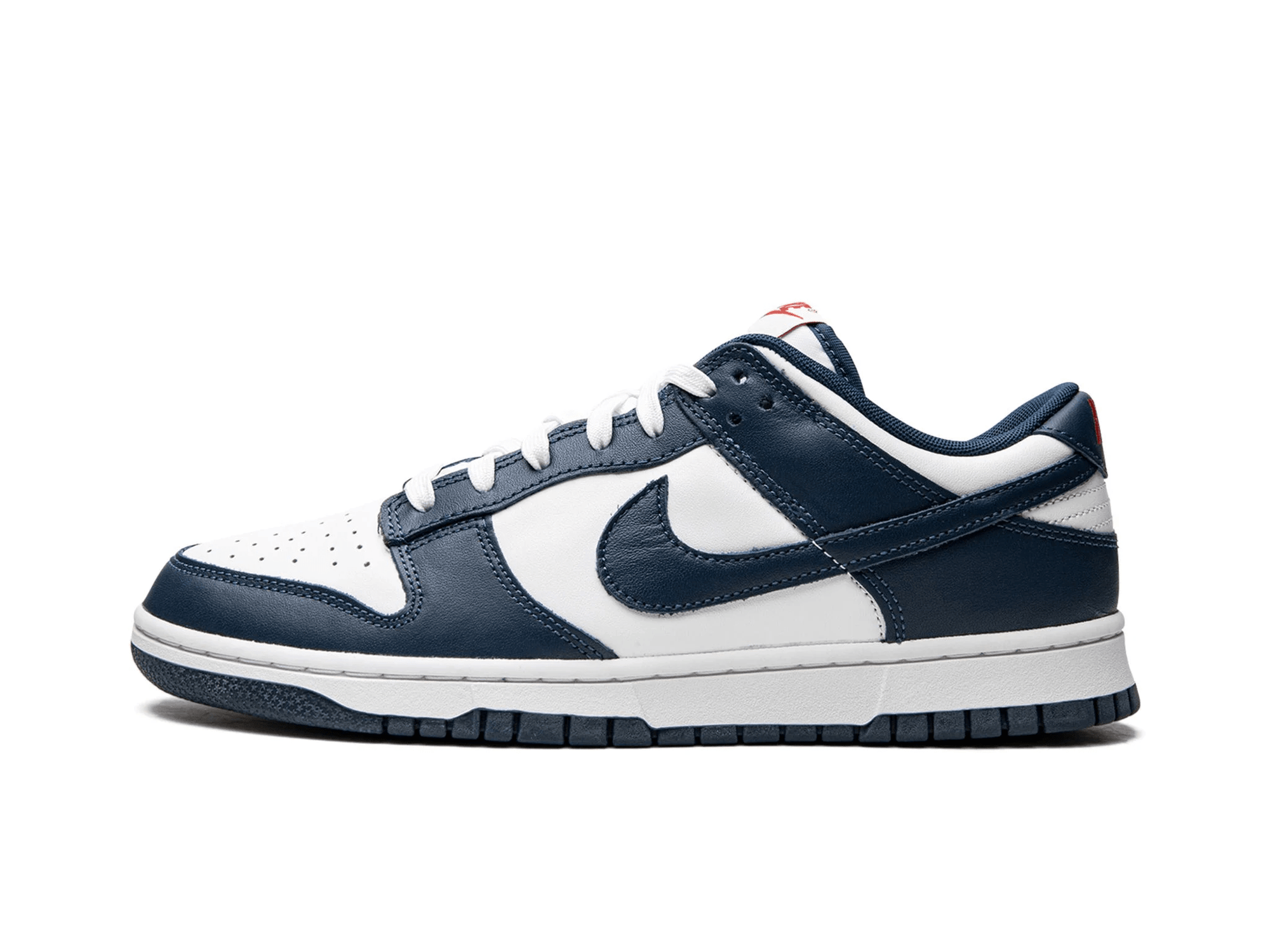 Nike Dunk Low Retro Valerian Blue